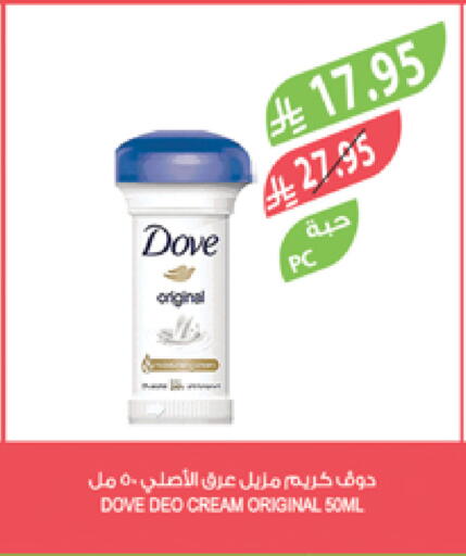 DOVE available at Farm  in KSA, Saudi Arabia, Saudi - Yanbu