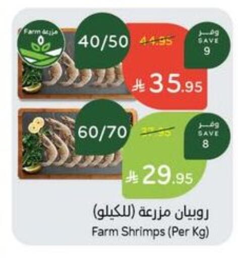 Fresh Fish in Hyper Panda, Saudi Arabia Offers - Saudi Arabia available at Hyper Panda in KSA, Saudi Arabia, Saudi - Dammam