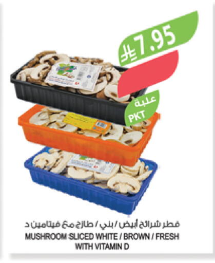 Mushroom available at Farm  in KSA, Saudi Arabia, Saudi - Sakaka