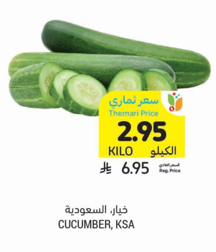 Cucumber available at Tamimi Market in KSA, Saudi Arabia, Saudi - Hafar Al Batin