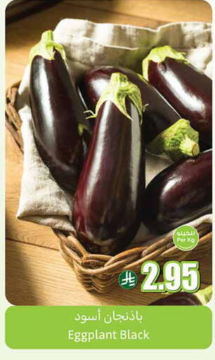 Eggplant available at Othaim Markets in KSA, Saudi Arabia, Saudi - Unayzah