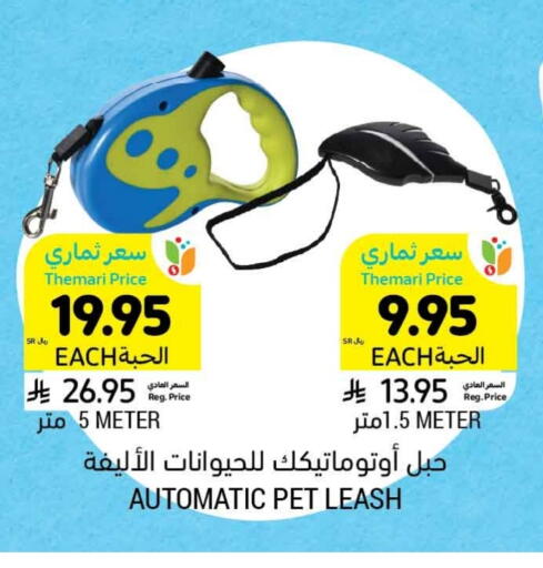 Pets in Tamimi Market, Saudi Arabia Offers - Saudi Arabia available at Tamimi Market in KSA, Saudi Arabia, Saudi - Al Khobar