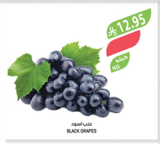 Grapes available at Farm  in KSA, Saudi Arabia, Saudi - Najran