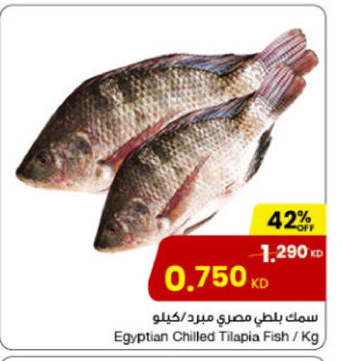 available at مركز سلطان in الكويت - محافظة الجهراء