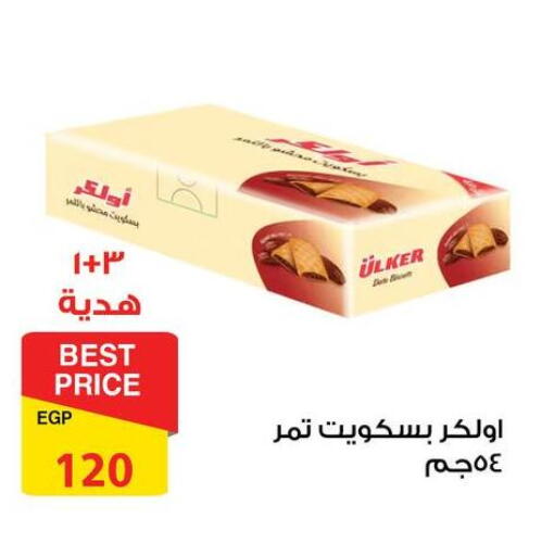 available at فتح الله in Egypt - القاهرة