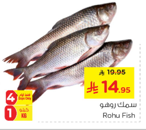 available at Nesto in KSA, Saudi Arabia, Saudi - Riyadh