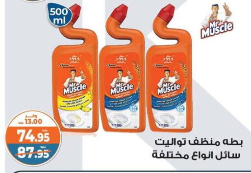 مستر ماسل منظف عام available at كازيون in Egypt - القاهرة