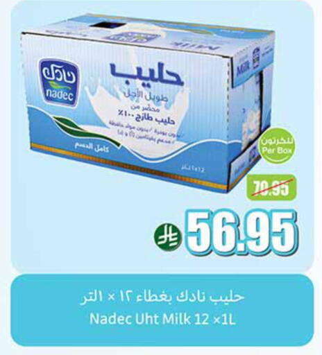 NADEC Long Life / UHT Milk available at Othaim Markets in KSA, Saudi Arabia, Saudi - Al Qunfudhah