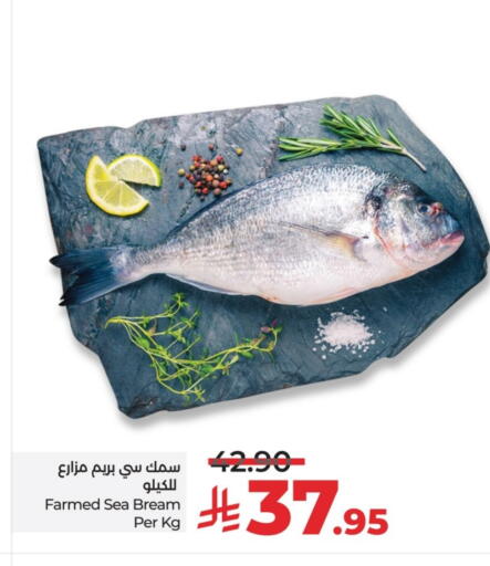 available at LULU Hypermarket in KSA, Saudi Arabia, Saudi - Hail