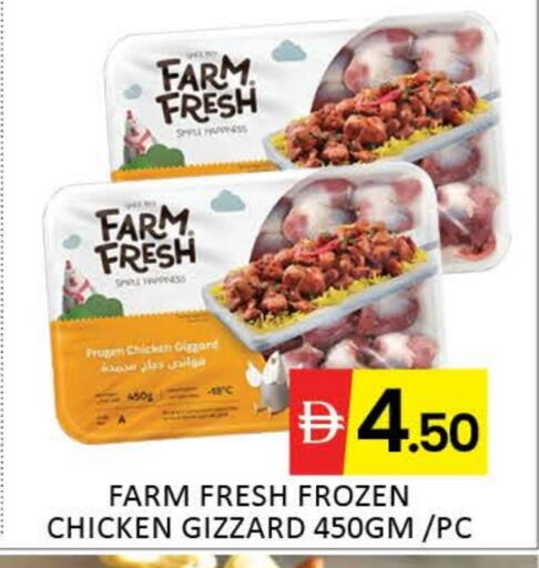 FARM FRESH Chicken Gizzard available at Mango Hypermarket LLC in UAE - Dubai
