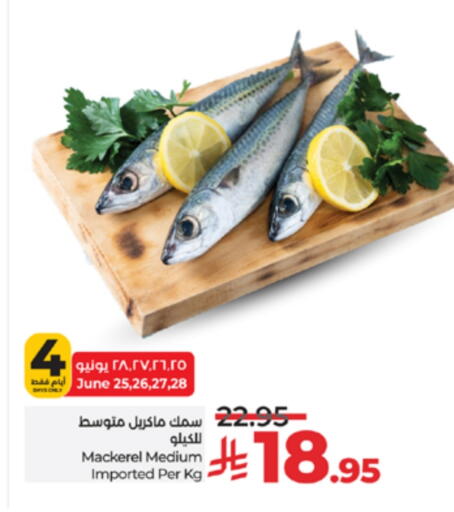 Fresh Fish in LULU Hypermarket, Saudi Arabia Offers - Saudi Arabia available at LULU Hypermarket in KSA, Saudi Arabia, Saudi - Hafar Al Batin