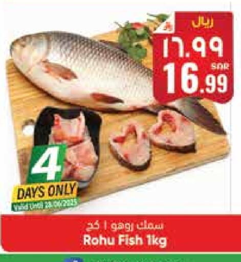 available at City Flower in KSA, Saudi Arabia, Saudi - Hail