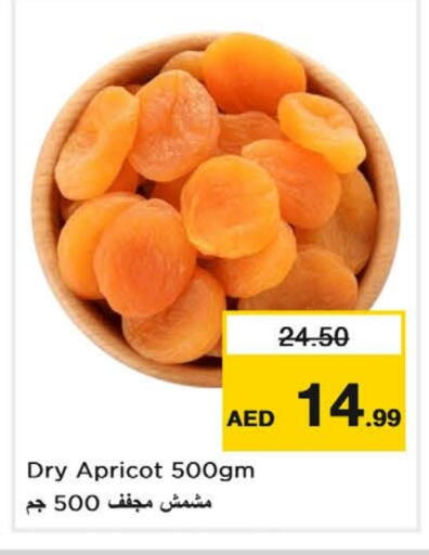 Apricot available at نستو هايبرماركت in الإمارات العربية المتحدة , الامارات - ٱلْفُجَيْرَة‎