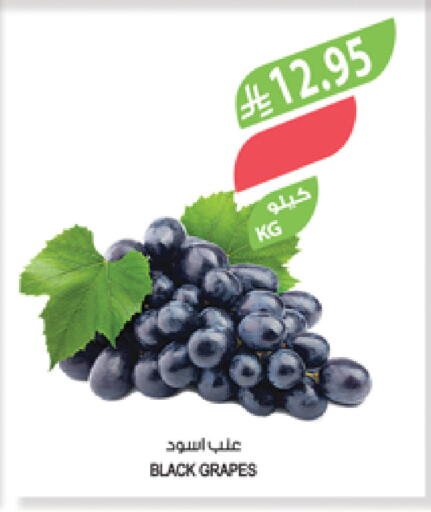 Grapes available at Farm  in KSA, Saudi Arabia, Saudi - Khafji