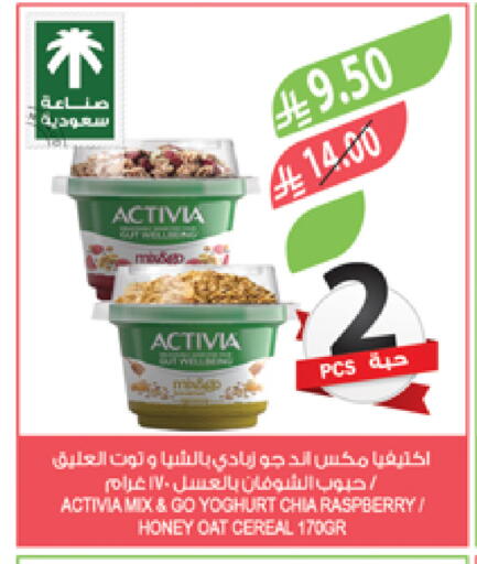 Raspberry available at Farm  in KSA, Saudi Arabia, Saudi - Khafji