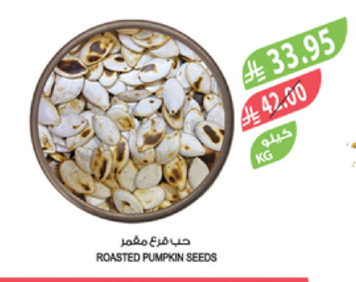 Pumpkin available at Farm  in KSA, Saudi Arabia, Saudi - Yanbu