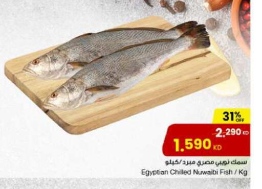 available at مركز سلطان in الكويت - محافظة الجهراء