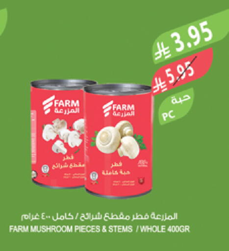 Mushroom available at المزرعة in مملكة العربية السعودية, السعودية, سعودية - المنطقة الشرقية