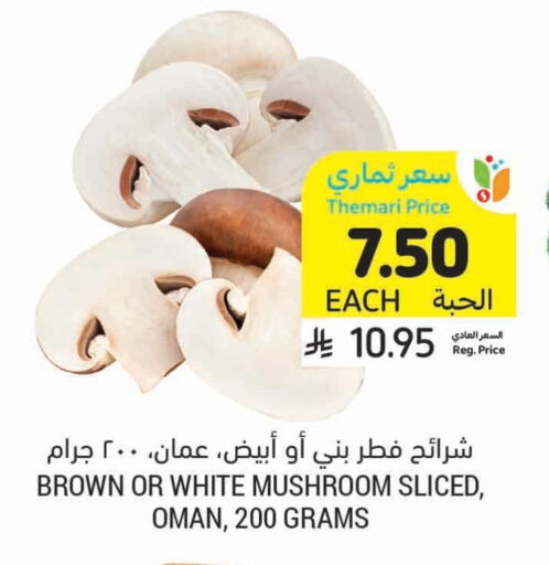 Mushroom from Oman available at Tamimi Market in KSA, Saudi Arabia, Saudi - Khafji