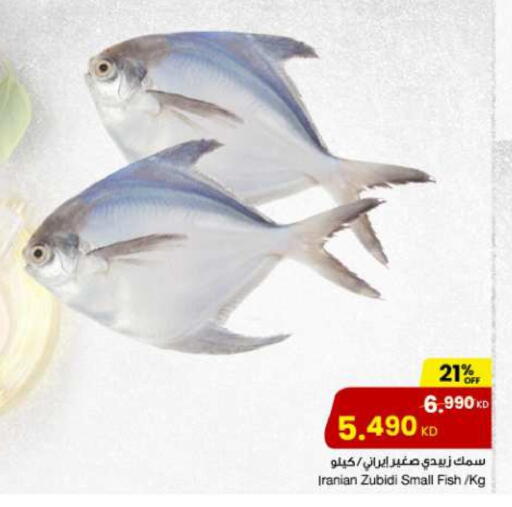 available at مركز سلطان in الكويت - محافظة الجهراء