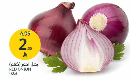 Onion available at AlJazera Shopping Center in KSA, Saudi Arabia, Saudi - Riyadh