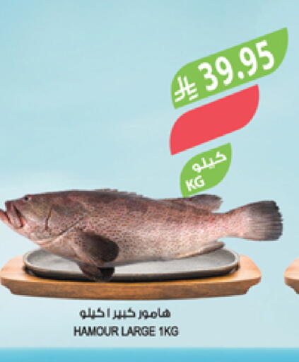 available at Farm  in KSA, Saudi Arabia, Saudi - Abha