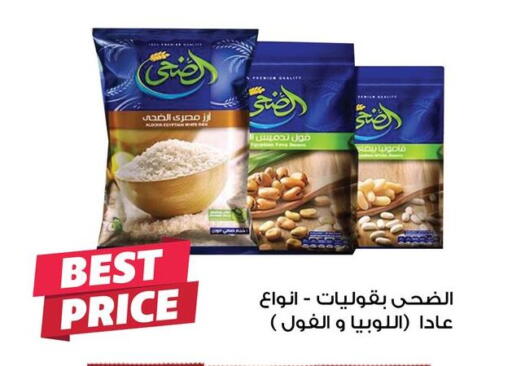 أرز كالروز available at فتح الله in Egypt - القاهرة