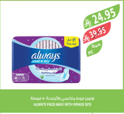 ALWAYS available at Farm  in KSA, Saudi Arabia, Saudi - Jazan