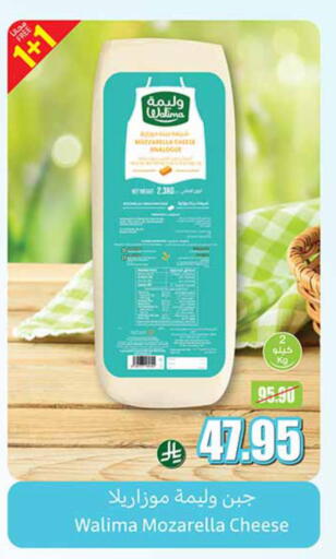 Mozzarella available at Othaim Markets in KSA, Saudi Arabia, Saudi - Al Qunfudhah