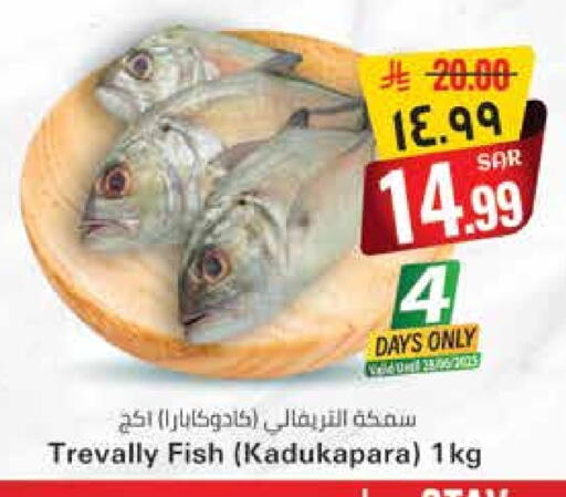 available at City Flower in KSA, Saudi Arabia, Saudi - Hail