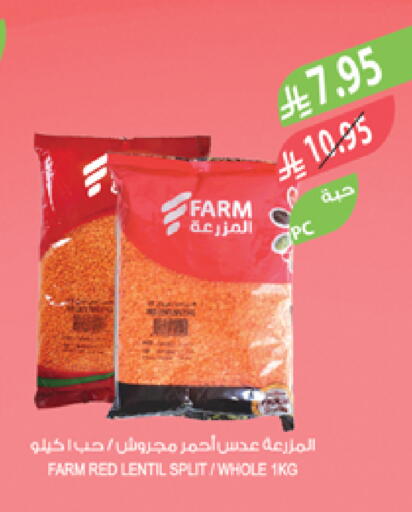 Pulses, Beans & Grains in Farm , Saudi Arabia Offers - Saudi Arabia available at Farm in KSA, Saudi Arabia, Saudi - Al Hasa