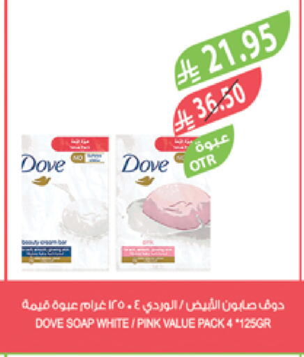 DOVE available at Farm  in KSA, Saudi Arabia, Saudi - Yanbu