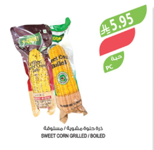 available at Farm  in KSA, Saudi Arabia, Saudi - Qatif