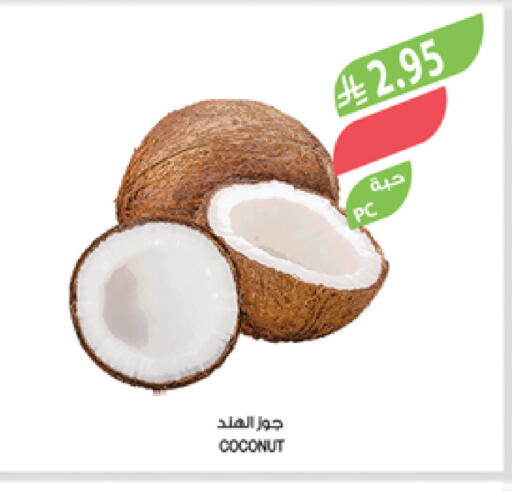 Coconut available at Farm  in KSA, Saudi Arabia, Saudi - Yanbu