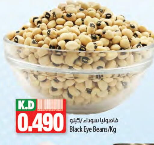 Mango available at Mango Hypermarket  in Kuwait - Kuwait City