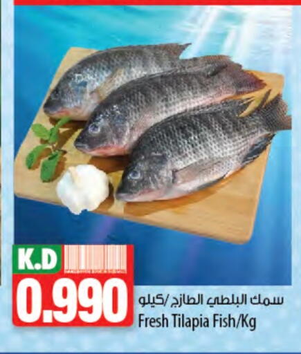 Mango available at مانجو هايبرماركت in الكويت - محافظة الجهراء