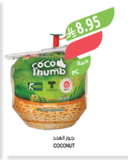 Coconut available at Farm  in KSA, Saudi Arabia, Saudi - Khafji