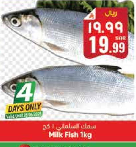 available at City Flower in KSA, Saudi Arabia, Saudi - Hail