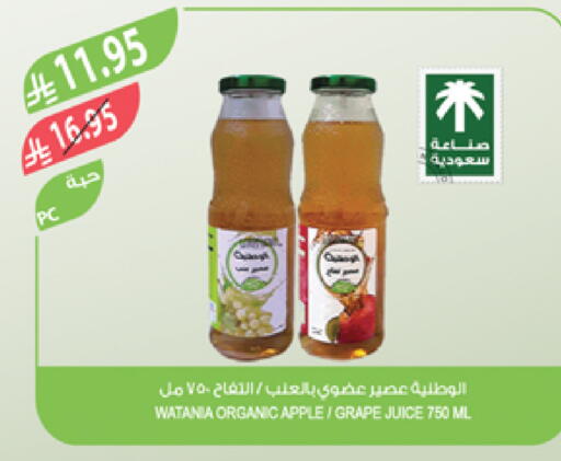 Apple available at Farm  in KSA, Saudi Arabia, Saudi - Sakaka