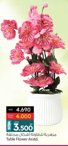 available at Ansar Gallery in Bahrain