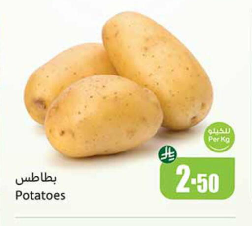 Potato available at Othaim Markets in KSA, Saudi Arabia, Saudi - Unayzah