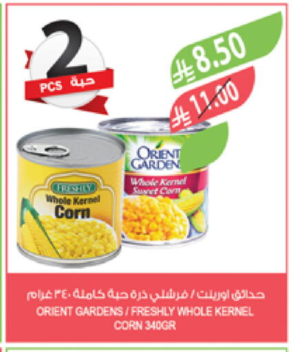 FRESHLY available at Farm  in KSA, Saudi Arabia, Saudi - Al Bahah