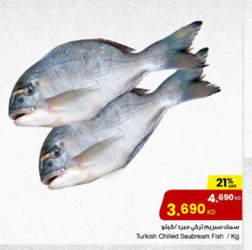 available at مركز سلطان in الكويت - محافظة الجهراء