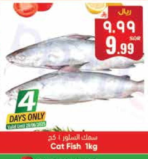available at City Flower in KSA, Saudi Arabia, Saudi - Riyadh