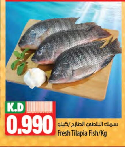 Mango available at مانجو هايبرماركت in الكويت - محافظة الجهراء