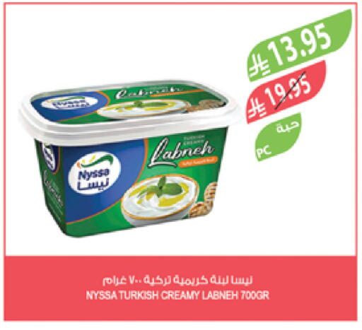 Labneh available at Farm  in KSA, Saudi Arabia, Saudi - Al-Kharj