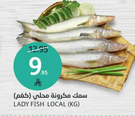 available at AlJazera Shopping Center in KSA, Saudi Arabia, Saudi - Riyadh