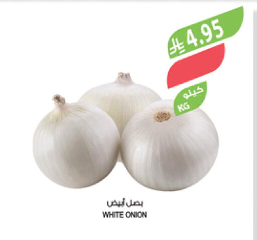White Onion available at Farm  in KSA, Saudi Arabia, Saudi - Abha