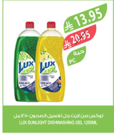 LUX available at Farm  in KSA, Saudi Arabia, Saudi - Al Bahah