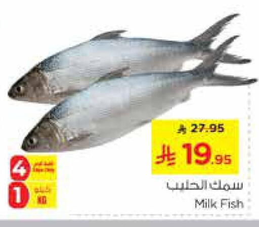 available at Nesto in KSA, Saudi Arabia, Saudi - Riyadh